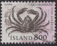 [Marine Life, type OS]