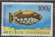 [Fish, type ABG]