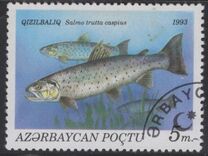[Fish, tipas AT]