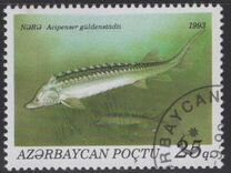 [Fish, tipas AP]