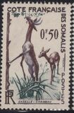 [Fauna, 类型 CR]