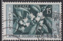 [Coffee Bush, type BH]