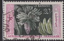 [Bananas, Tipo BT]