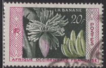 [Bananas, Tipo BT]