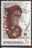 [Endangered Animals - The Orangutan, type AXB]