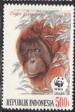 [Endangered Animals - The Orangutan, type AXE]