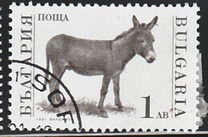 [Domestic Animals, Tipo EMB]