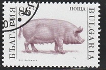 [Domestic Animals, Tipo EMA]