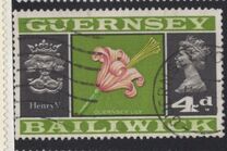 [Daily Stamps, Tip F]