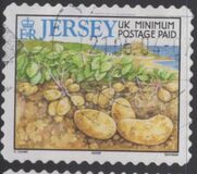 [Agricultural Products, type AJF]