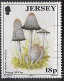 [Mushrooms, type WG]
