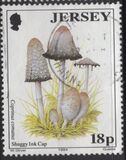 [Mushrooms, type WG]