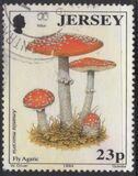 [Mushrooms, type WH]