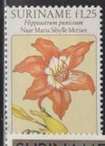 [Flower Drawings by Maria Sibylle Merian, type AOK]