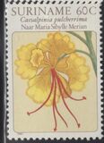 [Flower Drawings by Maria Sibylle Merian, type AOI]