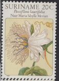 [Flower Drawings by Maria Sibylle Merian, type AOG]