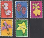 [Surinam Orchids, loại AHN]