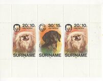 [Child Welfare - Pet Dogs, տեսակ AHF]