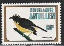 [Birds, タイプ NJ]