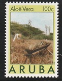 ["Aloe vera", tyyppi AM]