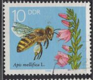[Honey Bees, Tipe DFS]