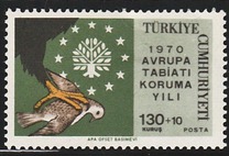 [Nature Conservation Year, 类型 BIL]