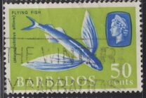 [Marine Life, type EA]