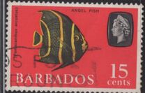 [Marine Life, type DX]
