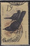[Birds, Вид OW]