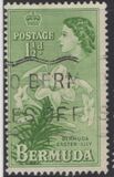 [Local Motives and Queen Elizabeth II, type AZ]