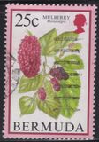 [Flowering Fruits, type TV]