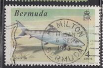 [World Fishing Records, Tip FM]