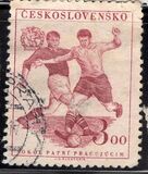 [The 9th Sokol Congress, type DP]