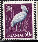 [Birds, type AE]