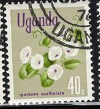 [Flowers, type AV]
