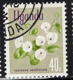 [Flowers, type AV]