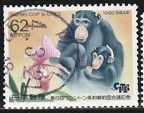 [8ª Conferencia mundial de las asociaciones protectoras de especies en peligro de extinción., tipo CIT]