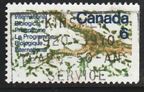 [International Biological Programme, jenis MX]