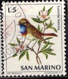 [Birds, type ZB]