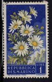 [Flowers & Monte Titano, type IW]
