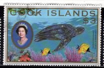 [Fauna - Turtles, סוג AHD]