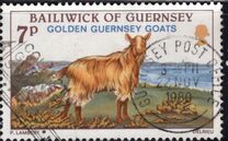 [Golden Guernsey Goats, نوع GE]