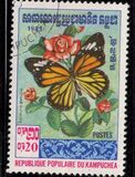 [Butterflies, סוג KF]