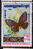 [Butterflies, סוג KG]