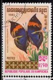 [Butterflies, סוג KJ]