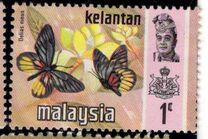 [Butterflies, type AM]