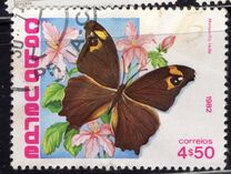 [Butterflies, type HF]
