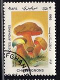 [Flora - Mushrooms, տեսակ ABS]