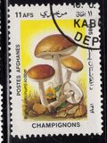 [Flora - Mushrooms, տեսակ ABU]
