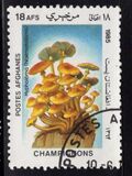 [Flora - Mushrooms, տեսակ ABW]